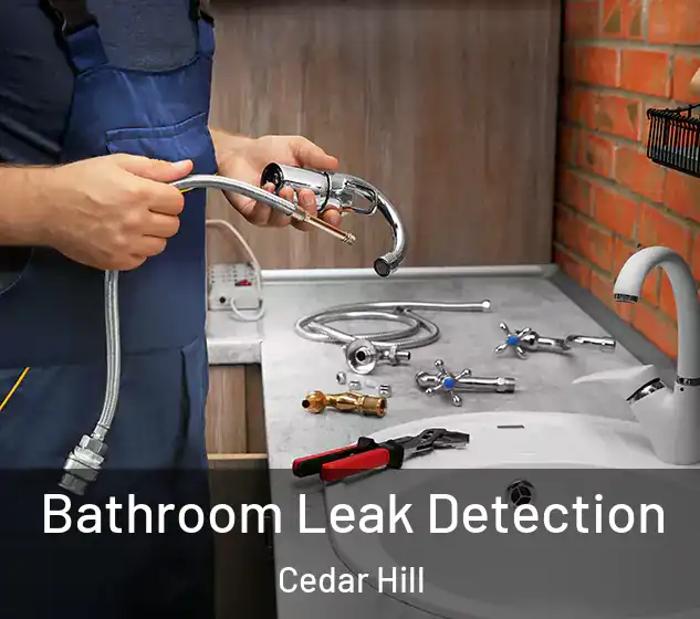  Bathroom Leak Detection Cedar Hill