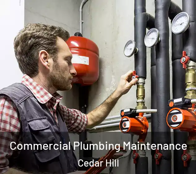  Commercial Plumbing Maintenance Cedar Hill