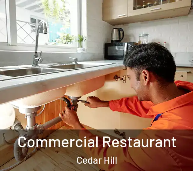  Commercial Restaurant Cedar Hill