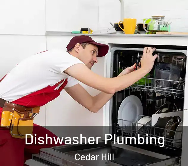  Dishwasher Plumbing Cedar Hill