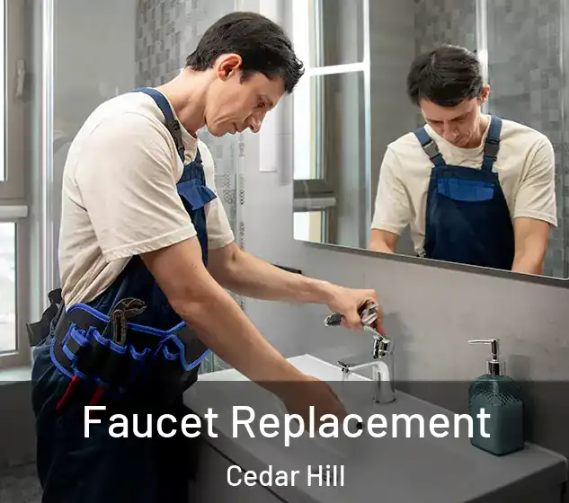  Faucet Replacement Cedar Hill