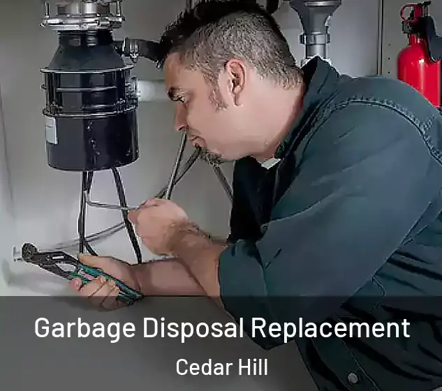  Garbage Disposal Replacement Cedar Hill