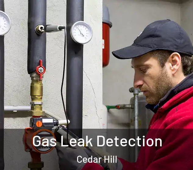 Gas Leak Detection Cedar Hill