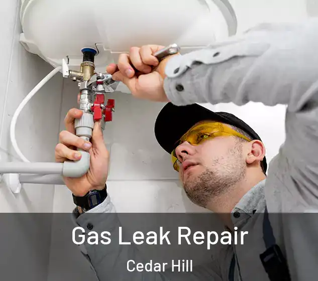  Gas Leak Repair Cedar Hill