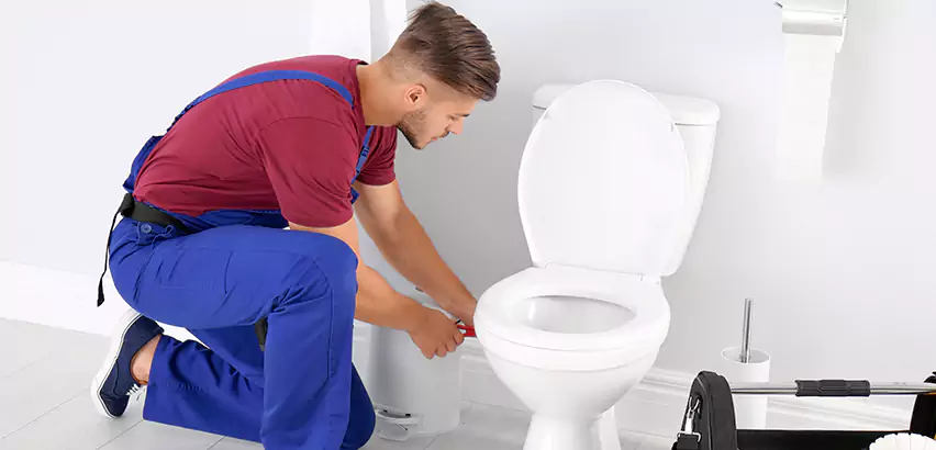 Scope of Bathroom Toilet Bowl Replacement Services in Cedar Hill, TX