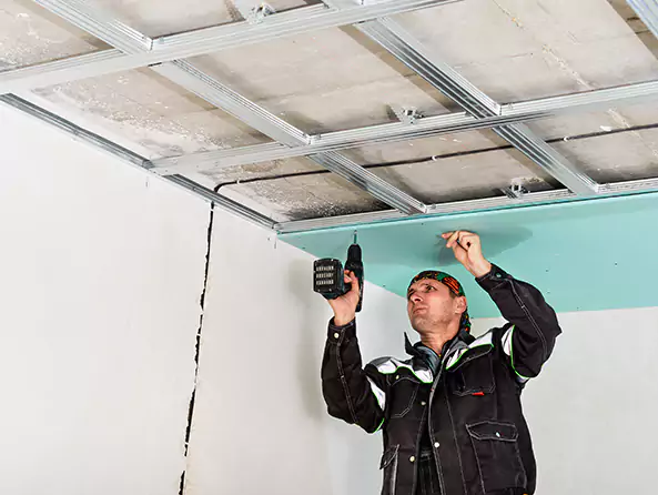 Why Plumbing Repair Cedarhill is the First Choice for Roof & Ceiling Leak Detection Services in Cedar Hill, TX?
