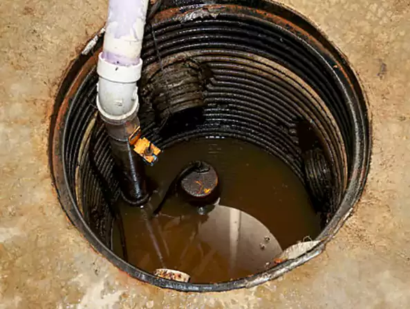 Why Plumbing Repair Cedarhill is the First Choice for Sewage Ejector Pump Maintenance Services in Cedar Hill, TX?