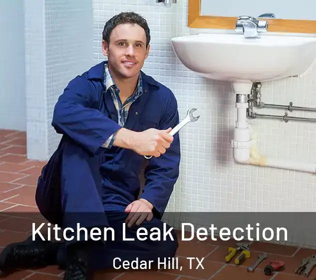  Kitchen Leak Detection Cedar Hill, TX