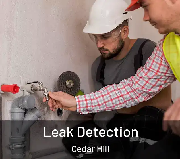  Leak Detection Cedar Hill