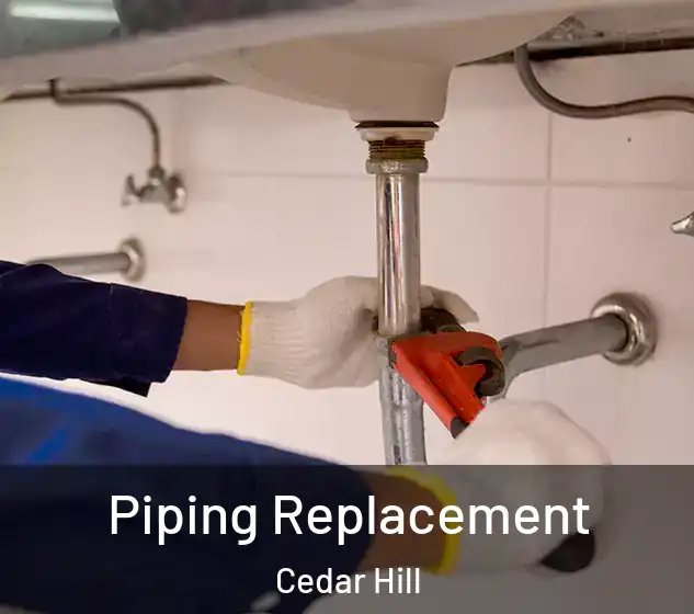  Piping Replacement Cedar Hill