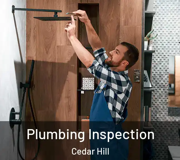  Plumbing Inspection Cedar Hill
