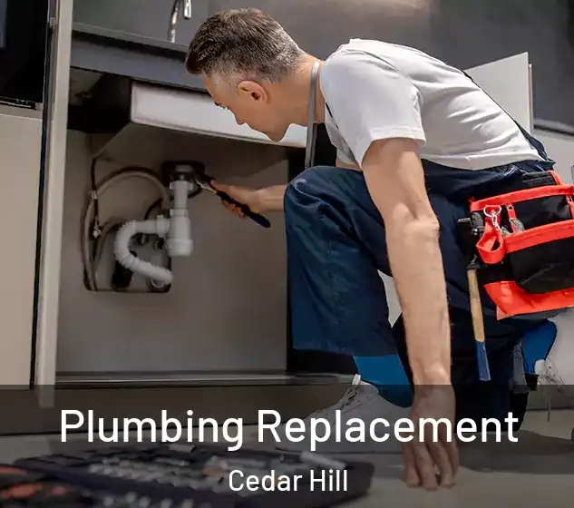  Plumbing Replacement Cedar Hill