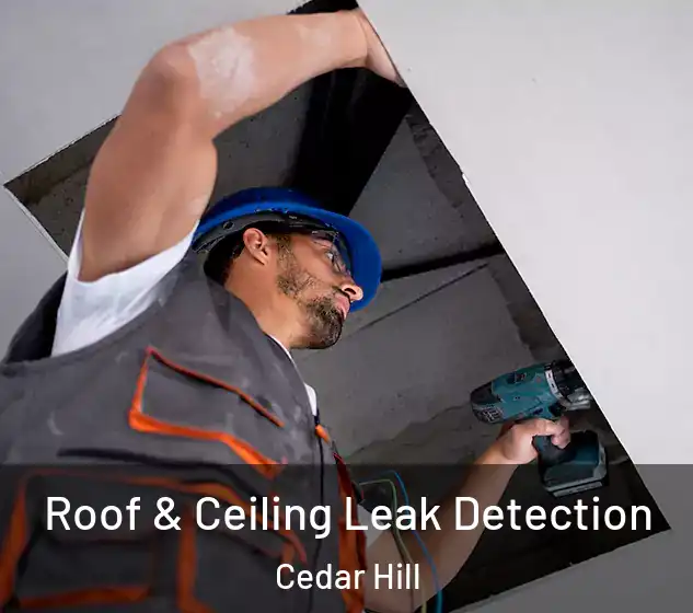  Roof & Ceiling Leak Detection Cedar Hill