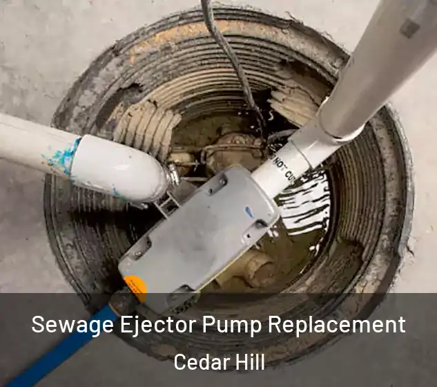  Sewage Ejector Pump Replacement Cedar Hill