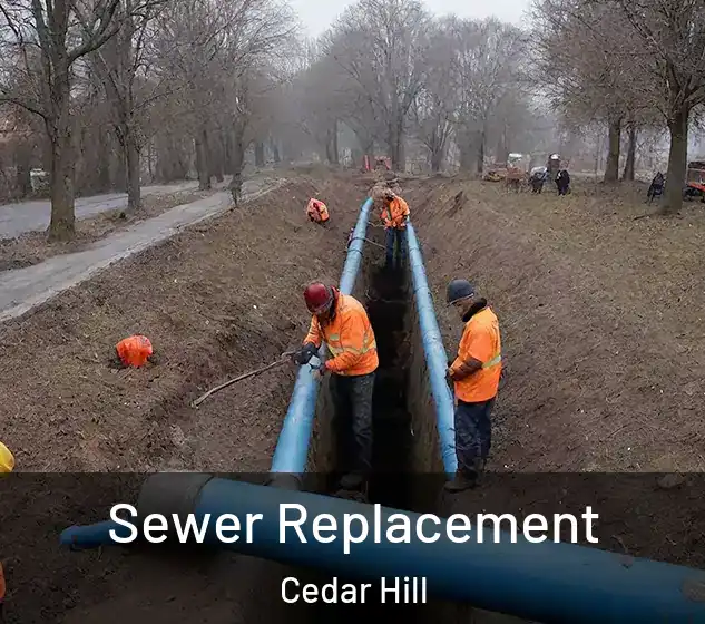  Sewer Replacement Cedar Hill