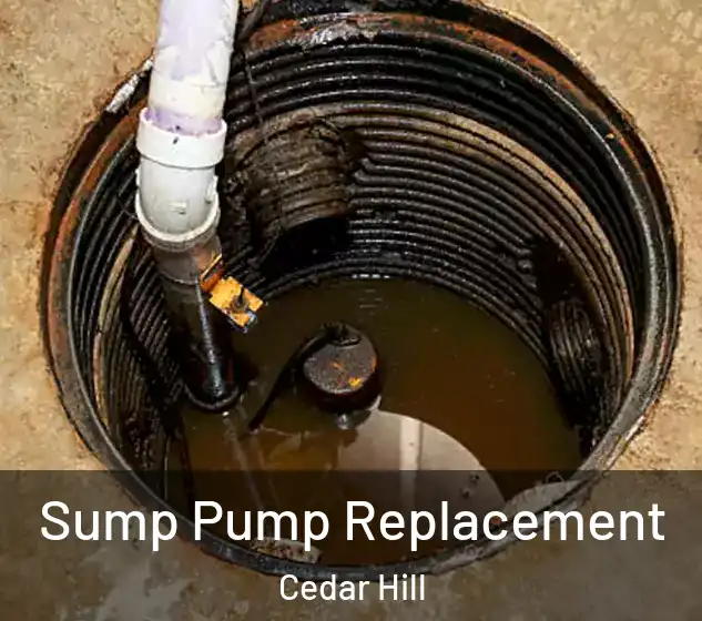  Sump Pump Replacement Cedar Hill