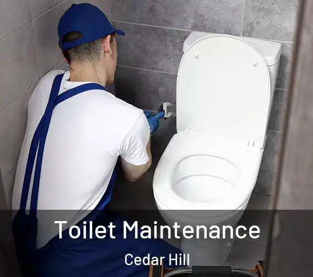  Toilet Maintenance Cedar Hill