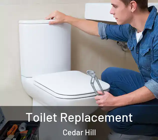  Toilet Replacement Cedar Hill