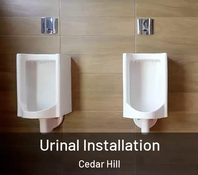  Urinal Installation Cedar Hill