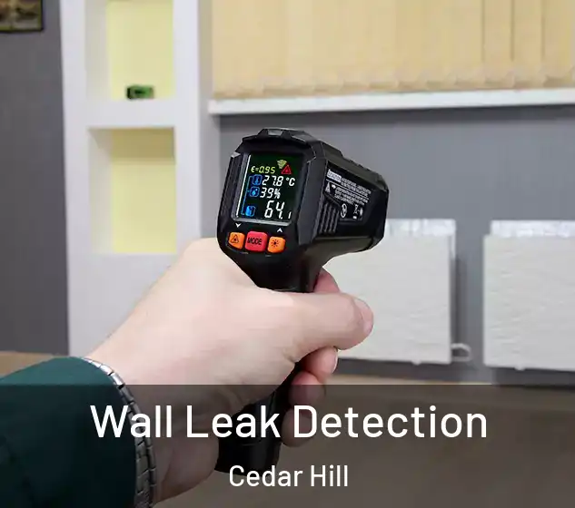  Wall Leak Detection Cedar Hill