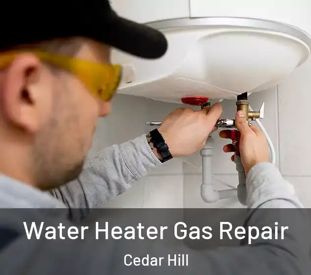  Water Heater Gas Repair Cedar Hill