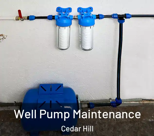  Well Pump Maintenance Cedar Hill